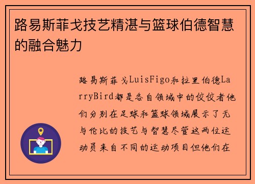 路易斯菲戈技艺精湛与篮球伯德智慧的融合魅力